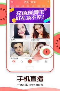 吃瓜视频在线直播,带你领略网络红人的魅力瞬间