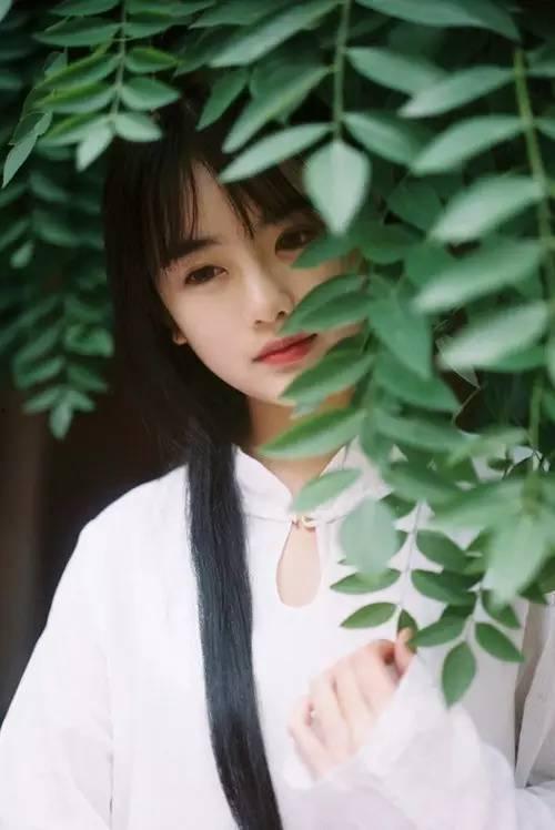 吃瓜少女刘七七视频播放,揭秘娱乐圈幕后故事